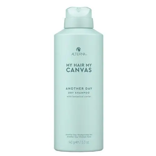 My hair my canvas another day dry shampoo (142g) Alterna