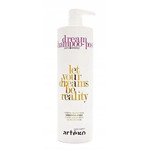Artego Easy Care T Shampoo Post 1000ml Dream
