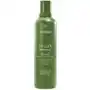 Be curly advanced shampoo (250 ml) Aveda Sklep on-line