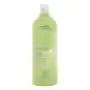 Aveda Be Curly Shampoo (1000ml) Sklep on-line