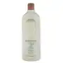 Aveda Rosemary Mint Shampoo (1000ml), AR5Y010000 Sklep on-line