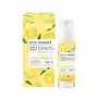 Eco sorbet ananas serum do twarzy booster 30ml Bielenda Sklep on-line