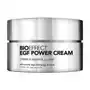 BIOEFFECT EGF Power Cream antiaging_pflege 50.0 ml Sklep on-line