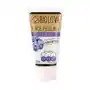 Peeling do twarzy Borówka 75 ml Biolove Blueberry Sklep on-line