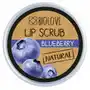 Peeling do ust Borówka 15 ml Biolove Blueberry Sklep on-line