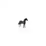 Ogier morgan stallion maści kasztanowej Collecta Sklep on-line