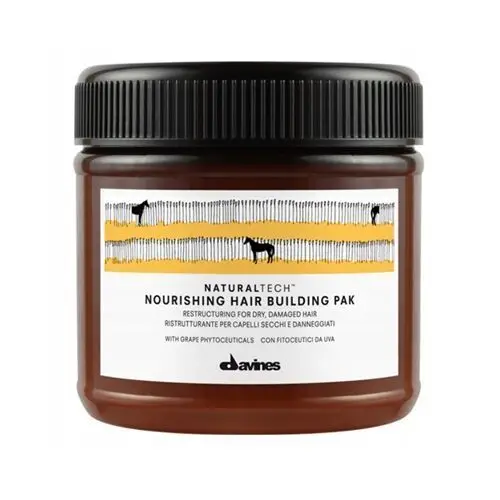 Davines Naturaltech Hair Building Pak Maska 250ml