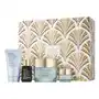 DayWear Moisturizer Holiday Skincare Set: The Hydrating Routine Sklep on-line