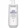 Goldwell Dualsenses Just Smooth wygładzająca odżywka do włosów 1000ml Sklep on-line