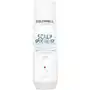 Goldwell Dualsenses Scalp Specialist Deep Cleansing Shampoo (250ml) Sklep on-line