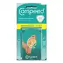 COMPEED Plastry na zrogowacenia x 6szt Sklep on-line