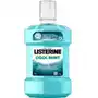 Płyn do płukania jamy ustnej 1000ml Listerine,47 Sklep on-line