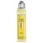 L'Occitane Citrus Verbena Conditioner (250ml) Sklep on-line