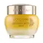 Immortelle divine cream (50ml) L'occitane Sklep on-line