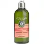 Repairing shampoo (300ml) L'occitane Sklep on-line