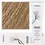 Denuee ammonia-free permanent colour 10 60ml Montibello Sklep on-line