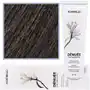 Montibello denuee ammonia-free permanent colour 5.12 60ml Sklep on-line