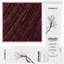 Denuee ammonia-free permanent colour 6.77 60ml Montibello Sklep on-line