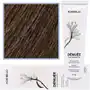 Denuee ammonia-free permanent colour 7.23 60ml Montibello Sklep on-line