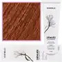 Denuee ammonia-free permanent colour 7.43 60ml Montibello Sklep on-line