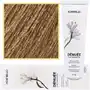 Denuee ammonia-free permanent colour 8.3 60ml Montibello Sklep on-line