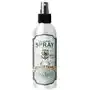 Mr bear family Spray do włosów sea salt - 200ml Sklep on-line