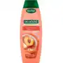 Palmolive 350ml szampon d/wł. 2w1 hydra balance Colgate-palmolive poland sp. z o.o Sklep on-line