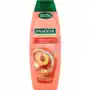 Palmolive 350ml szampon d/wł. 2w1 hydra balance Colgate-palmolive poland sp. z o.o Sklep on-line