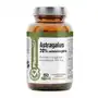 Suplement Astragalus 20% polisacharydów 60 kaps PharmoVit Clean Label Sklep on-line