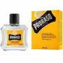 Proraso Płyn Balsam po goleniu After Shave Wood & Spice 100ml Sklep on-line