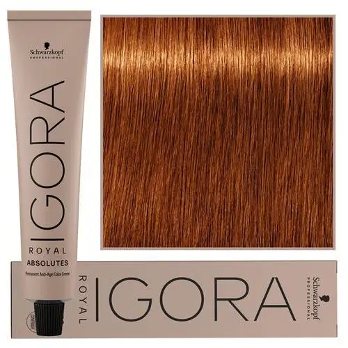 Schwarzkopf igora royal absolutes farba do włosów 7-70 60ml