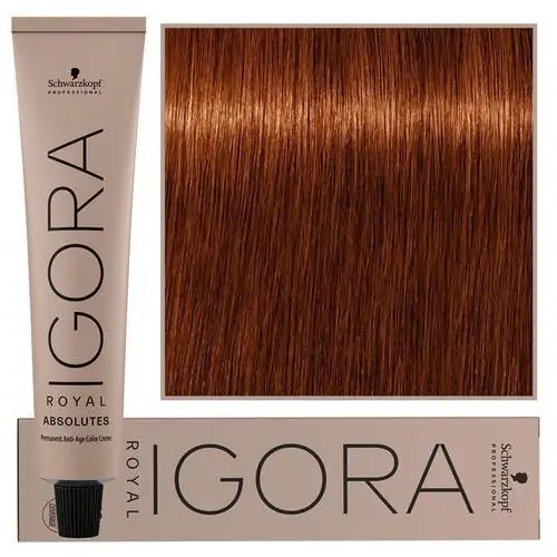 Schwarzkopf professional Schwarzkopf igora royal absolutes, farba do włosów, 6-70 absolutes, 60ml