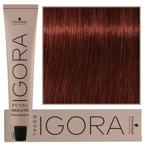 Schwarzkopf igora royal farba do włosów 6-80 Schwarzkopf professional