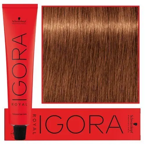 Schwarzkopf igora #royaltakeover dusted rouge, farba do włosów, 7-76, dawniej 7-764, 60ml Schwarzkopf professional