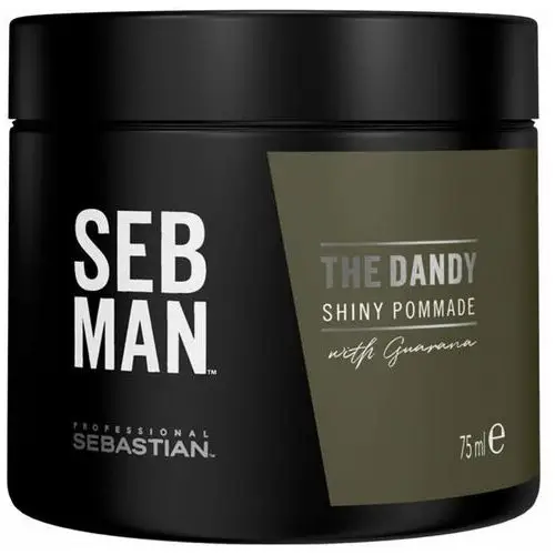 Sebastian Professional Seb Man The Dandy Pommade (75 ml)